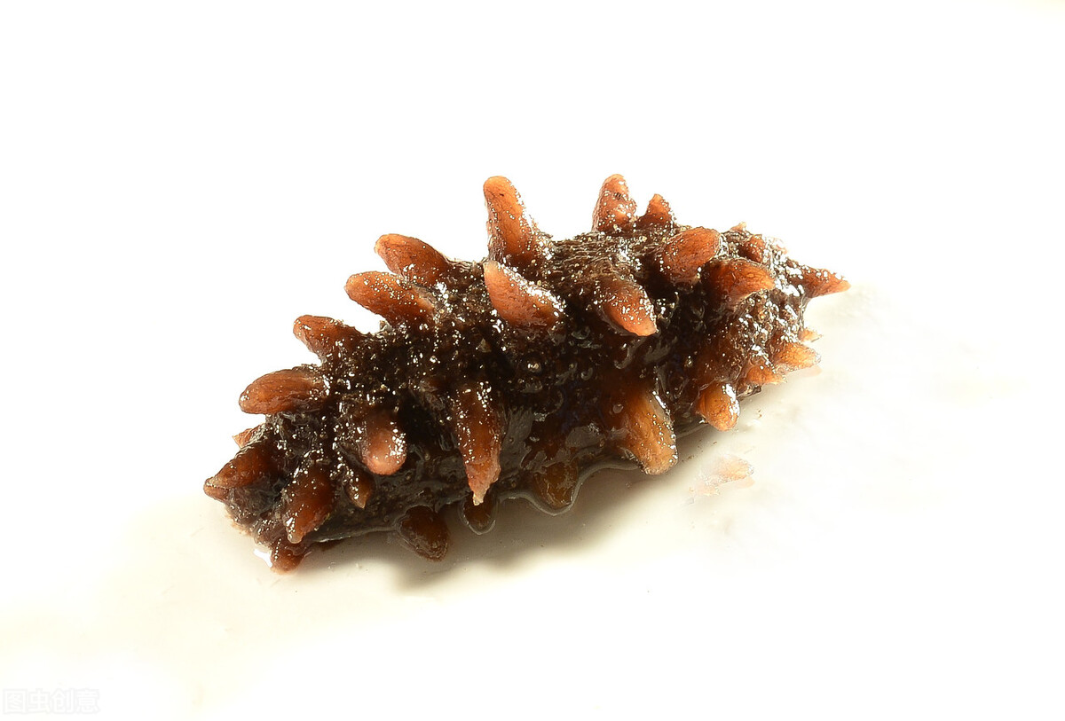 海参怎么作假的,海参造假全过程