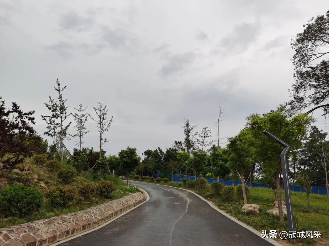 临清龙山公园最新进展,游临清公园