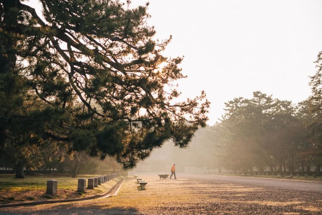 浜兘閰掑簵鎺ㄨ崘鏃ュ紡,浜兘鏃ュ紡鏃呴鎺ㄨ崘
