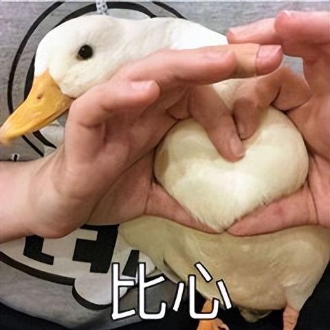 洽洽放假时间,大学生放假通知2030