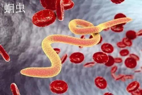 8岁女孩与宠物玩耍导一只眼睛失明这个动作,孩子一定要形成习惯