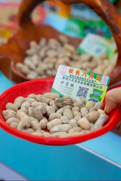 来了!惠阳将举办大型美食节,还有大咖云集音乐会