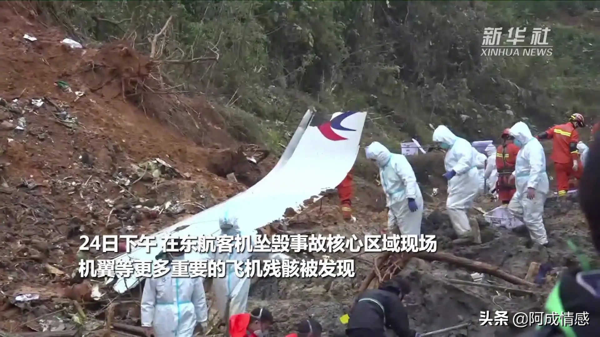 从容离别,离别的从容