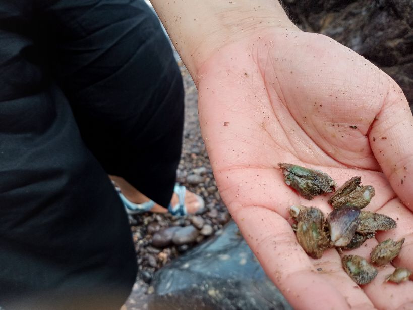 浙江境内蓝色大海,藏在这个与福建交界的小县城,不用坐船就能到