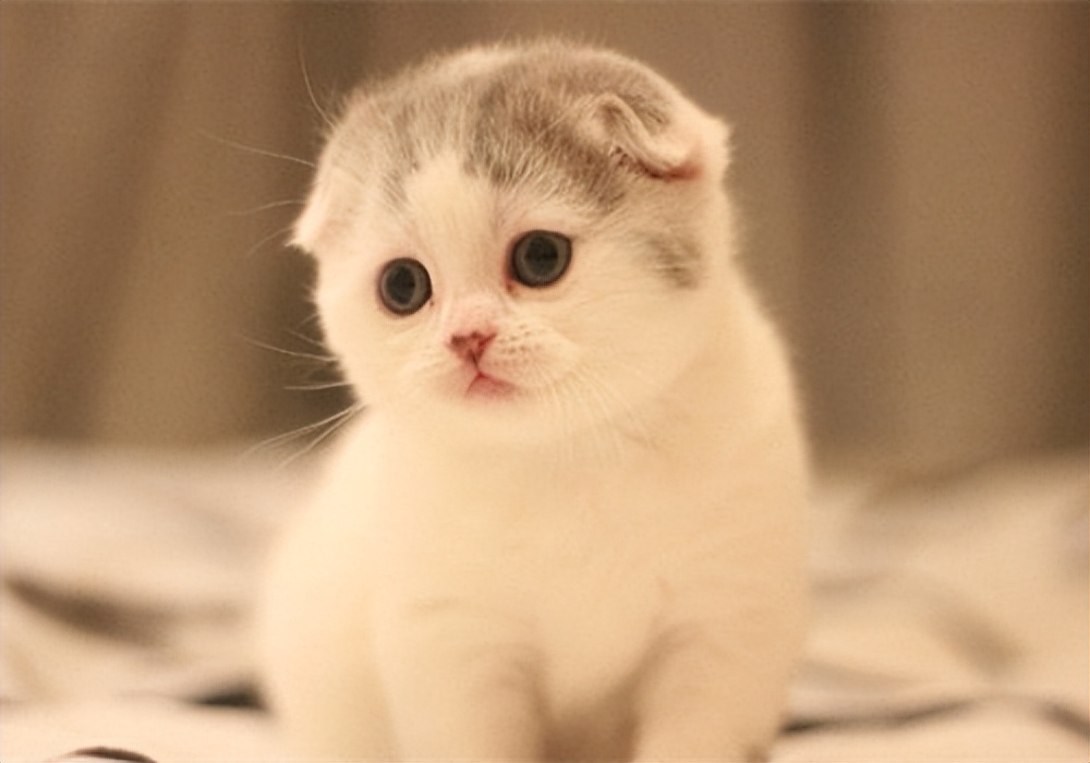 口鼻呼吸面容如何矫正,口鼻相通怎么修复