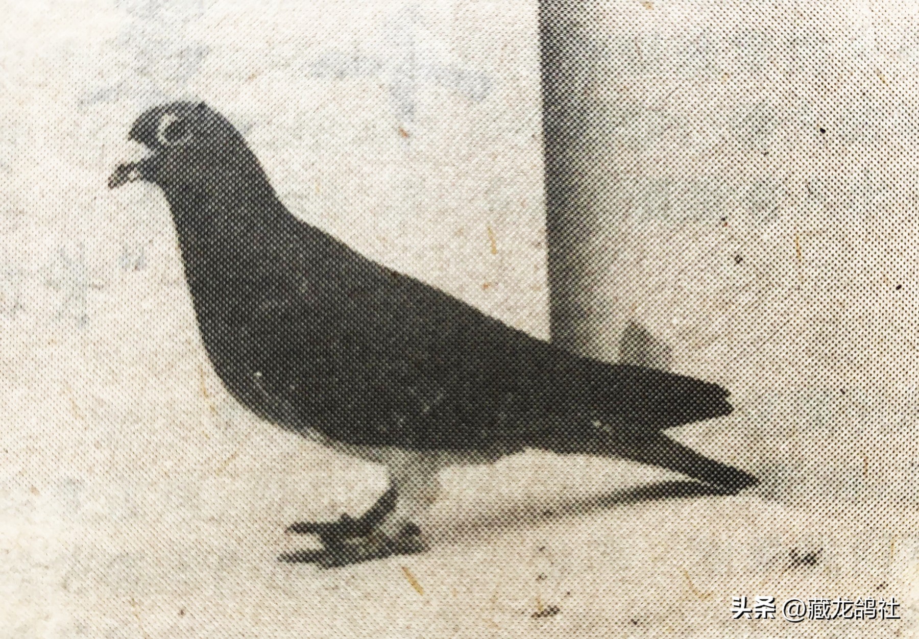 十年磨一剑研发海思芯片,十年磨一剑精心铸精品