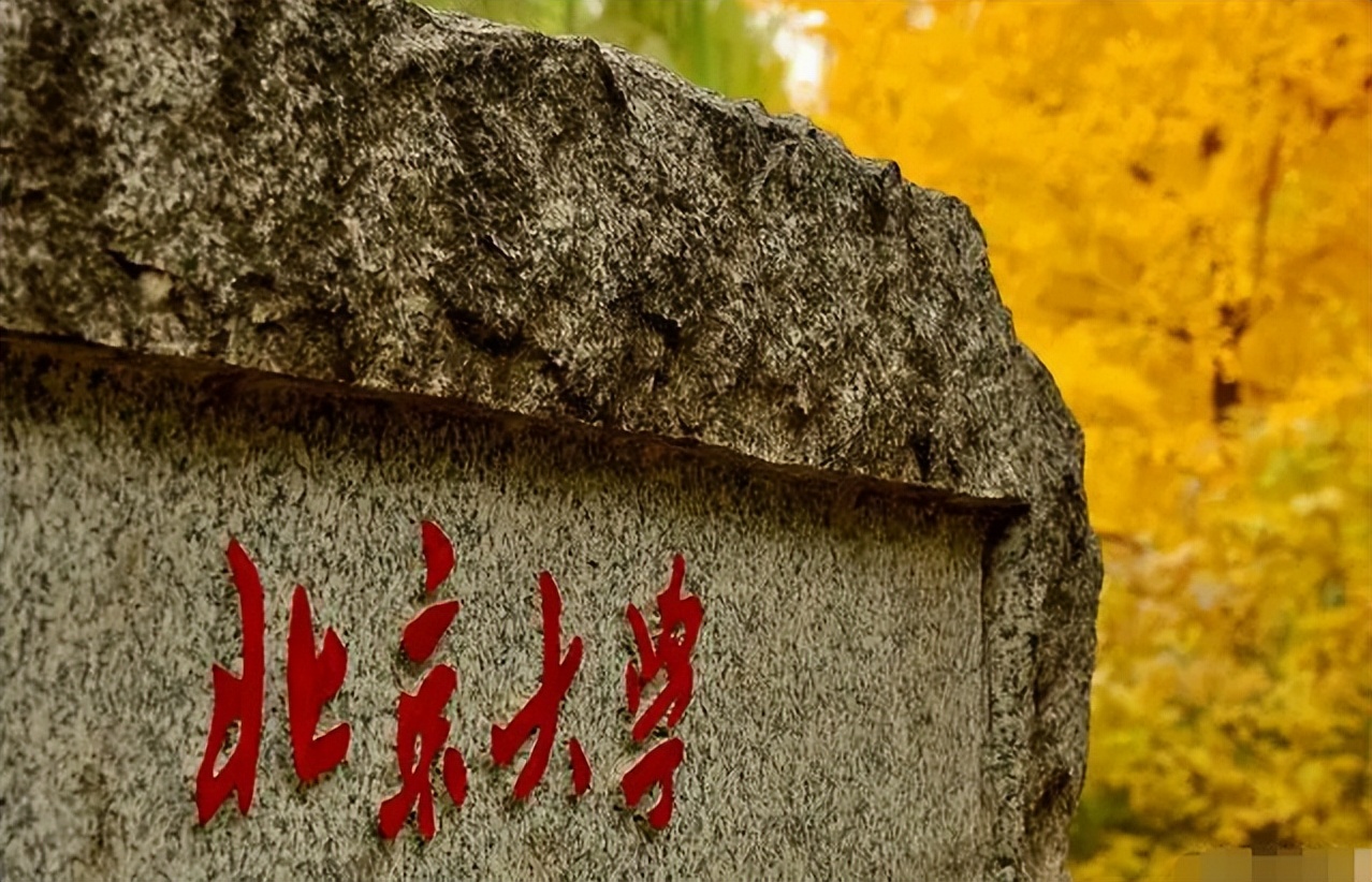 北大韦神和清华数学竞赛,韦神数学天才闭着眼睛上数学课