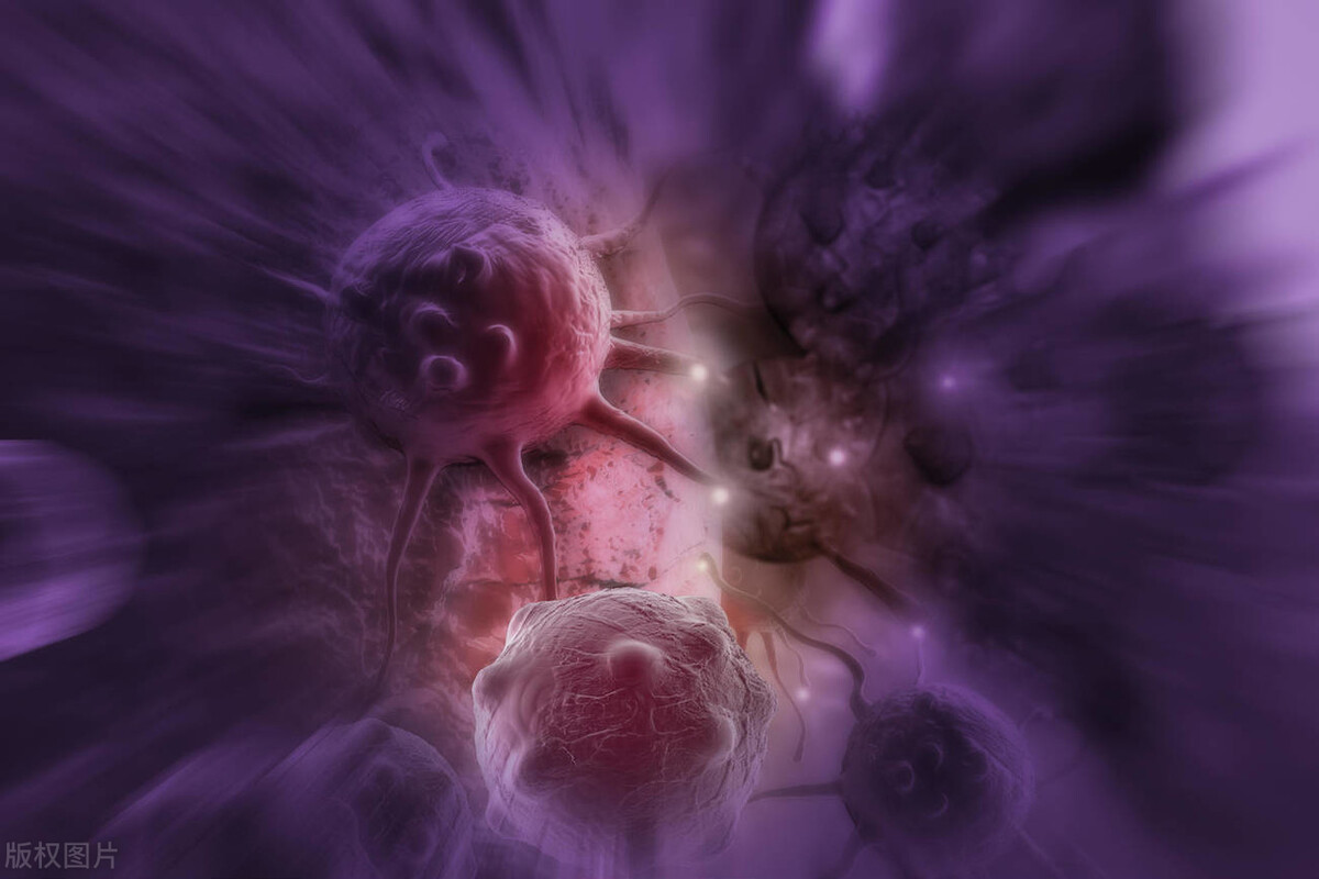 同样是吸烟为何日本人长寿,日本人抽烟只抽一半对身体好吗