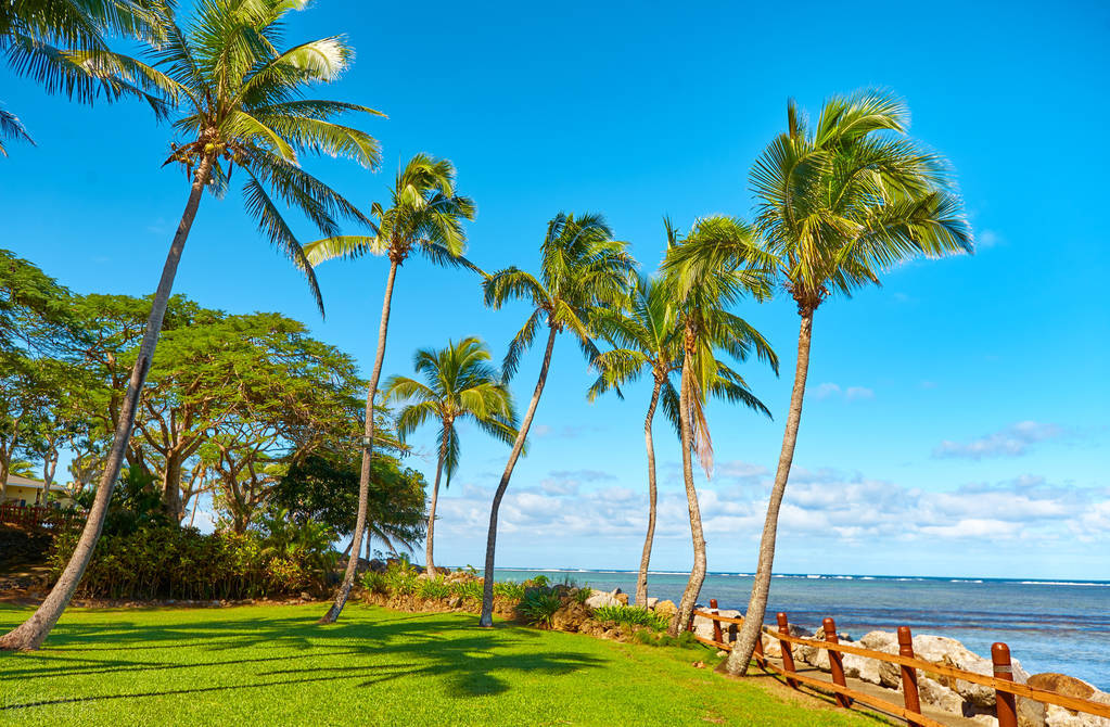 十一出国旅游提醒,出国旅游十大安全锦囊
