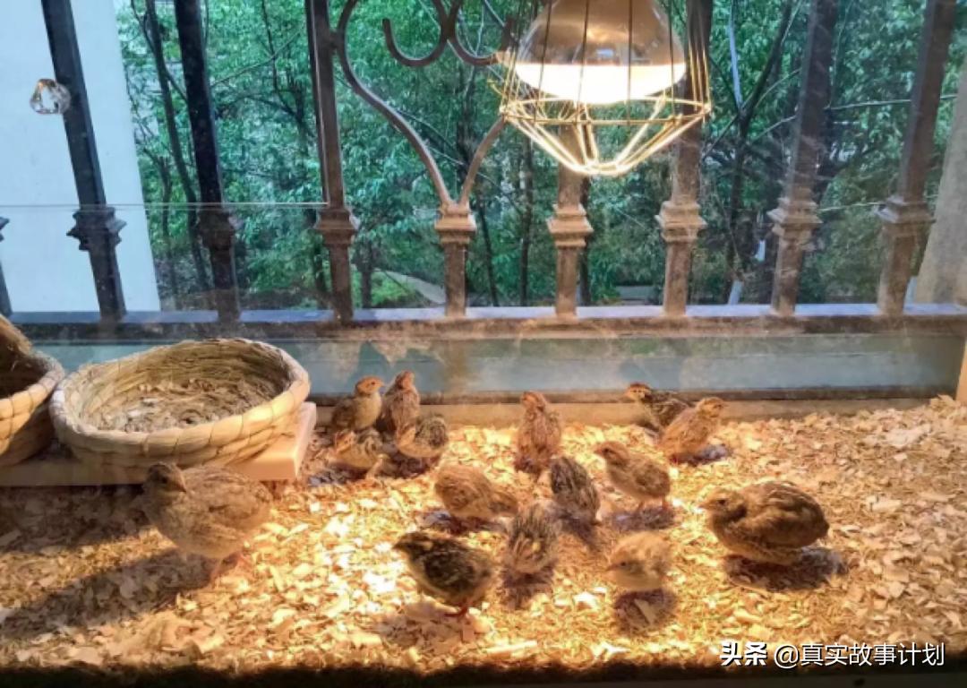 囤货之前应该怎么干,当爆仓成为一种习惯