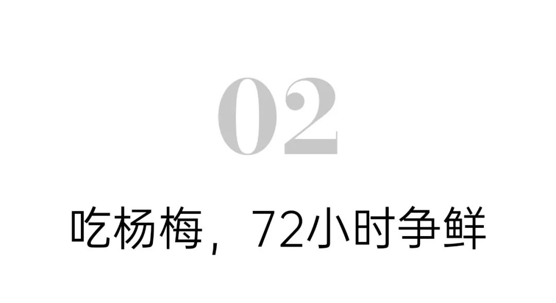 90后辞职回村种植中药材,90后夫妻放弃城市工作回乡当果农
