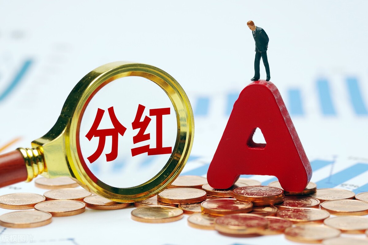 洋光养股：威孚高科分析与研究（7）行业优等生（上）？