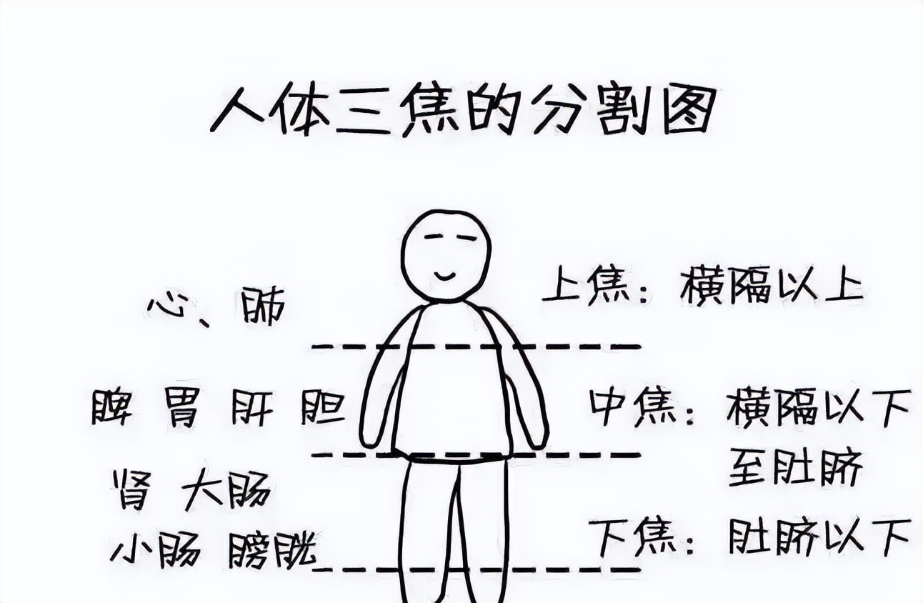 学八段锦每个动作要做几下,八段锦的动作要领及注意事项