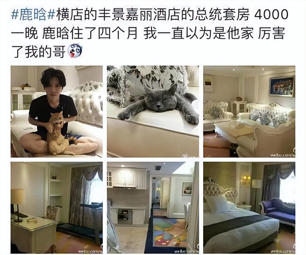 鹿晗解说欧洲杯曼联,曼联铁粉鹿晗