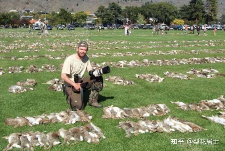 解析道德经第三十二章,道德经第十五章原文及翻译注释