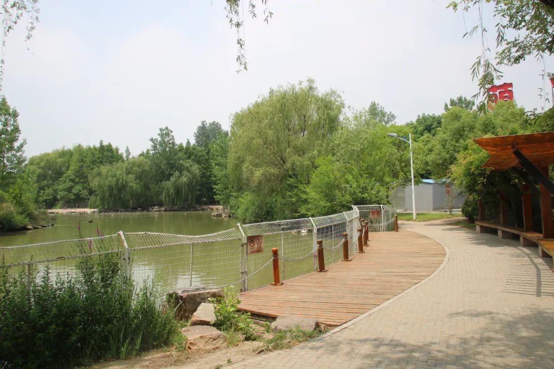 淮安动物园位置,淮安动物园多大面积