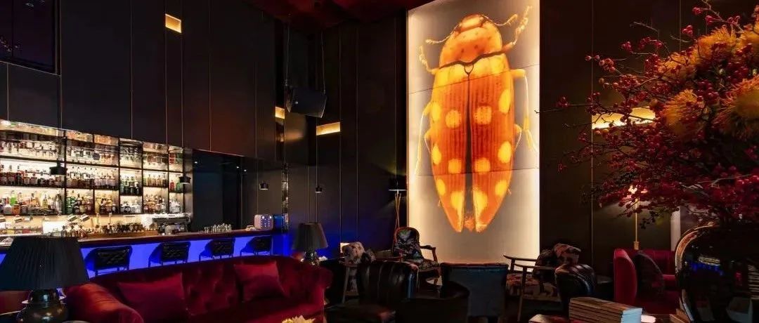 大道恒美值得买吗,大道恒美品牌管理