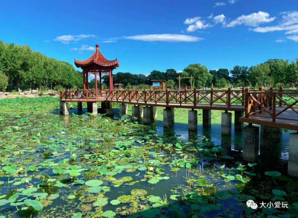 有很多很美的湖泊,这些绝美湖泊你去过几个