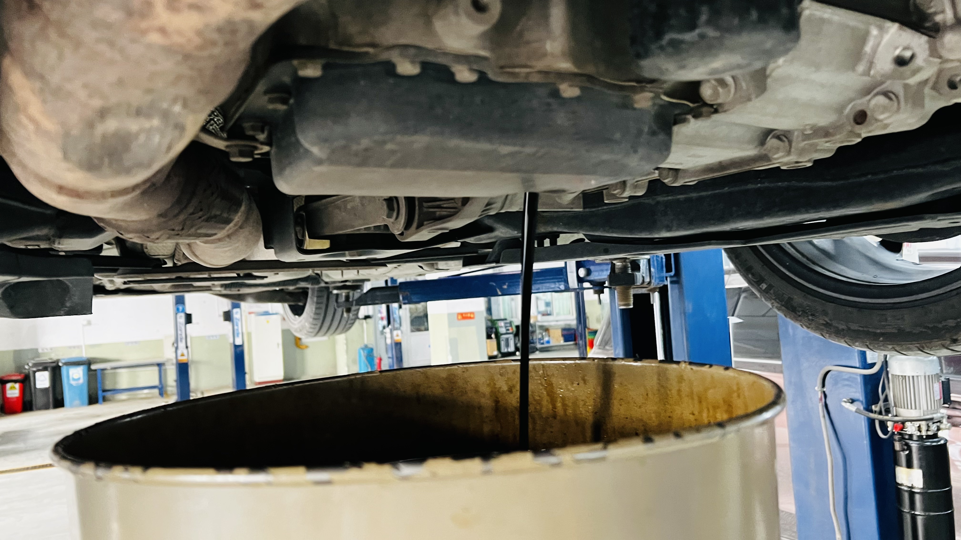 艾伦养护注意事项,艾伦怎样养护