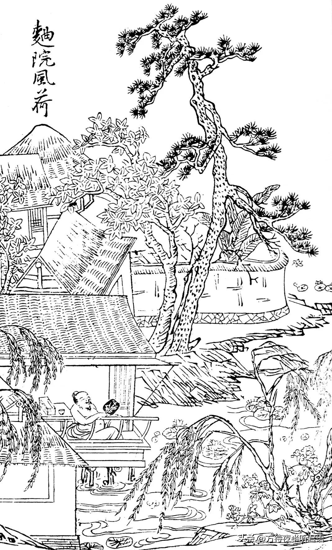 西湖梦寻:曲院风荷变迁图考