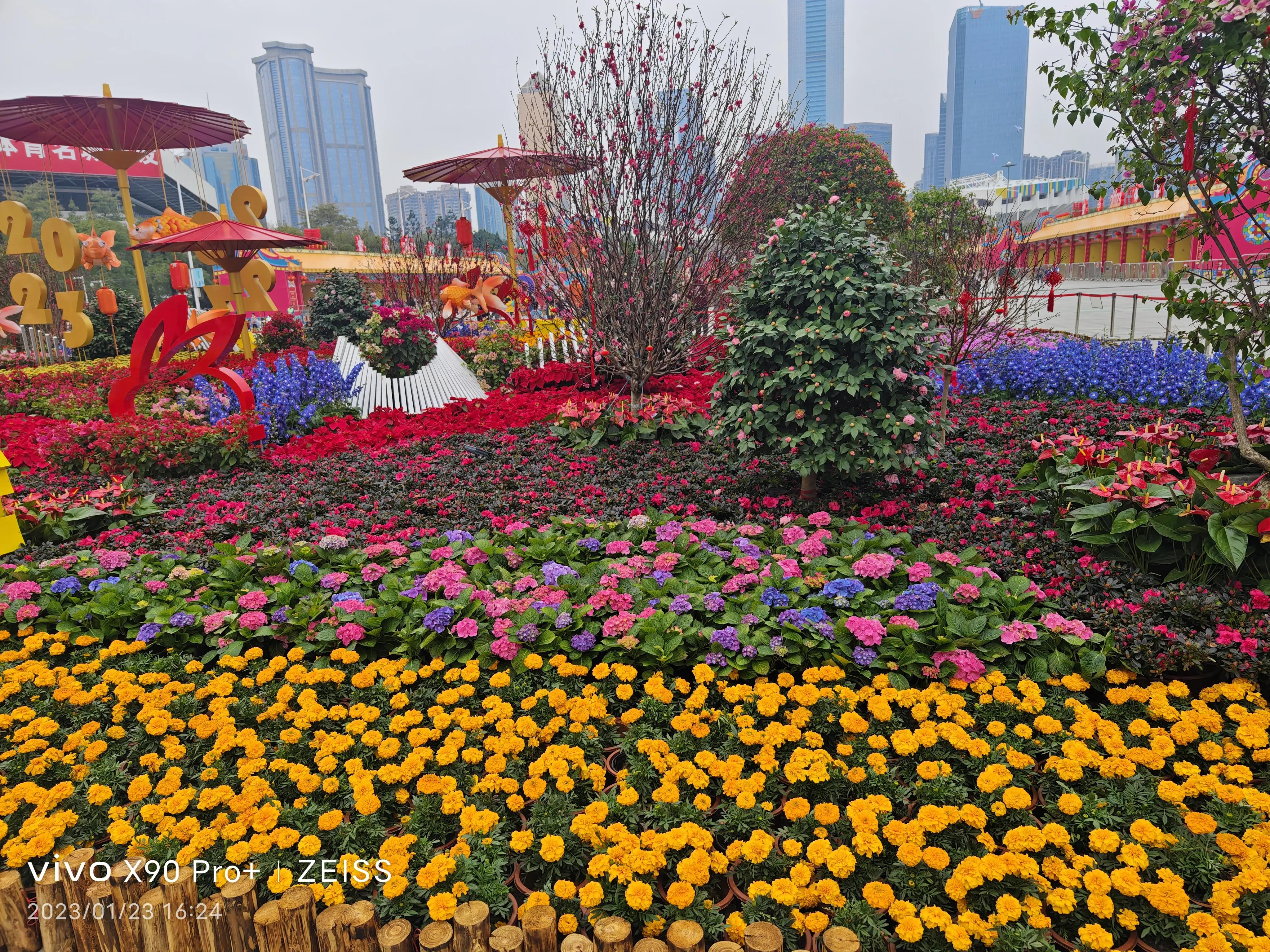 最近比较流行的网络语,目前最流行网络语