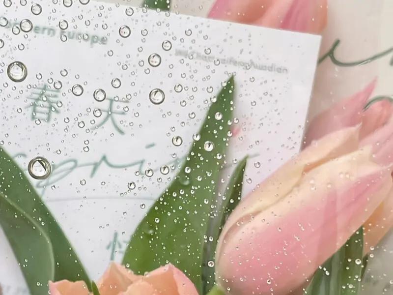 春意款款,岁月缓缓,令人心动的春日文案