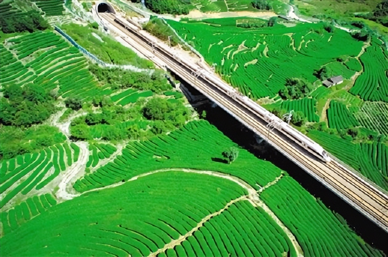 什么是经济学如何理解经济学,经济学的本质是什么