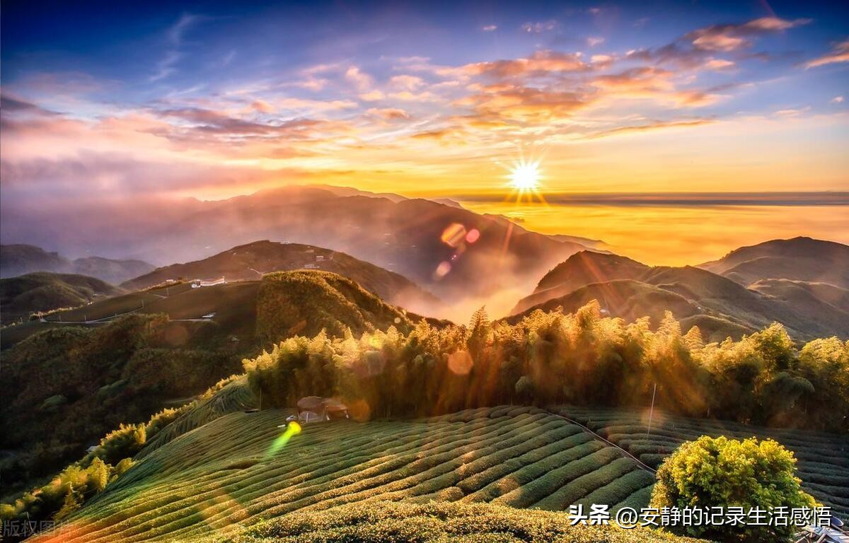 亲人自私自利，无情无义，你这样做，才算聪明