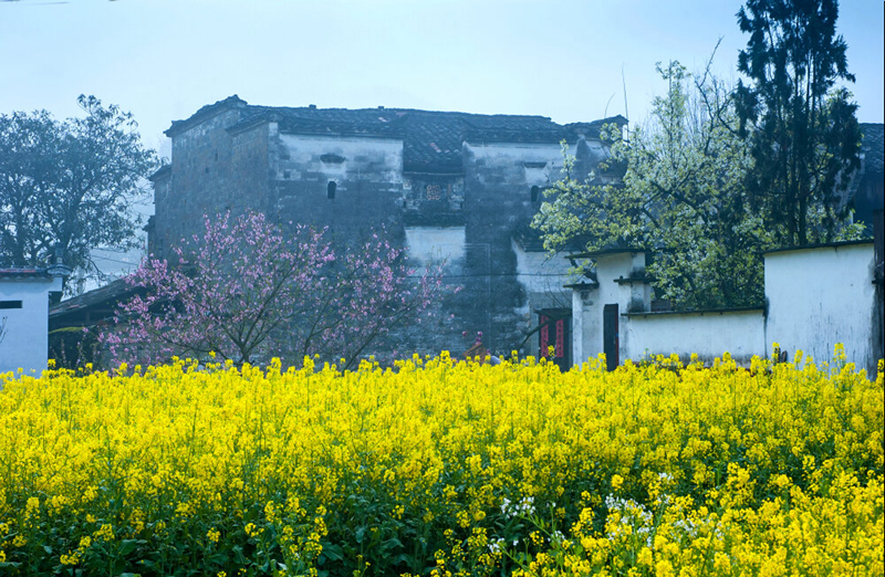 春色满园风景摄影,婺源摄影写真