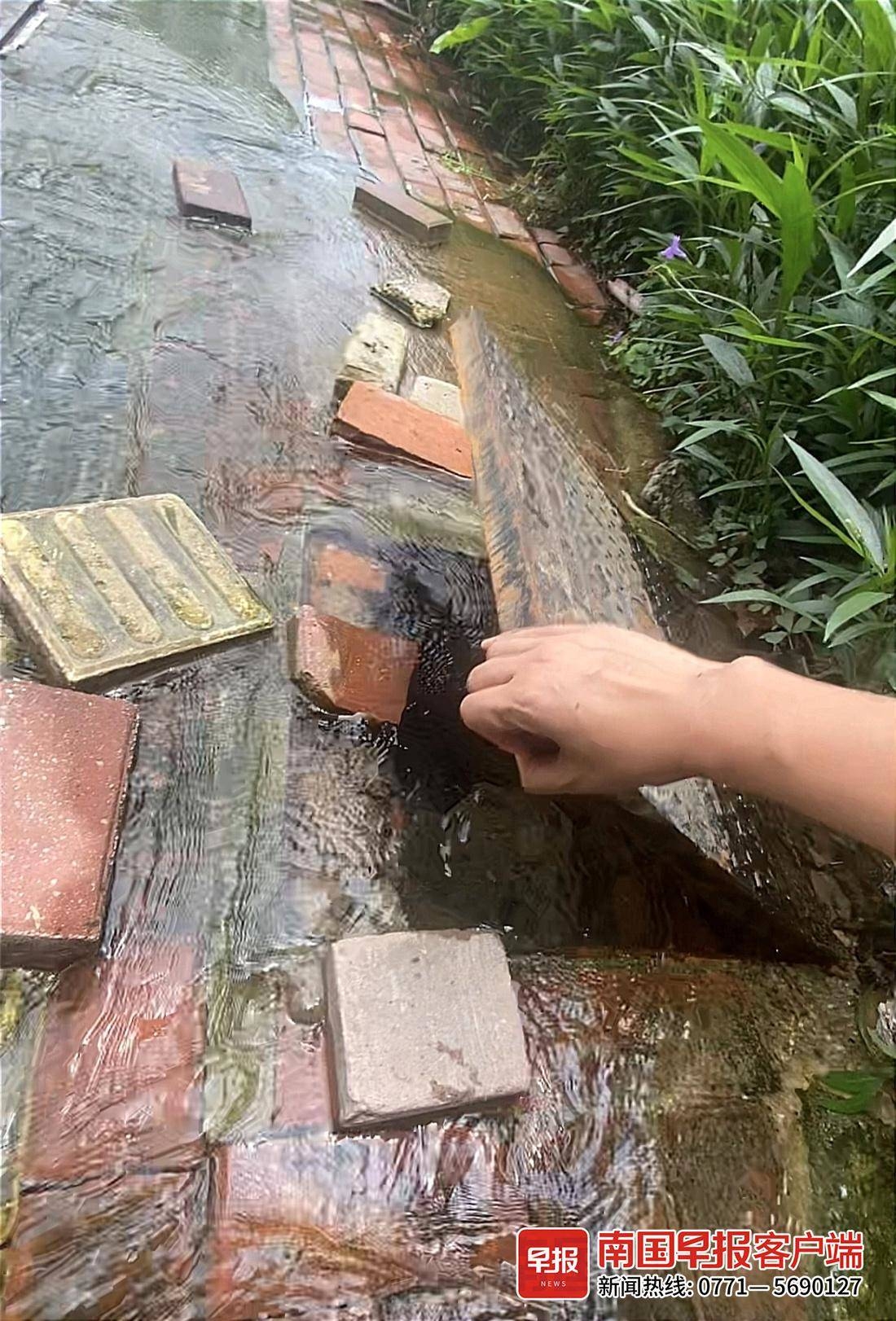 广西出现神秘泉水,广西南宁地下冒水视频