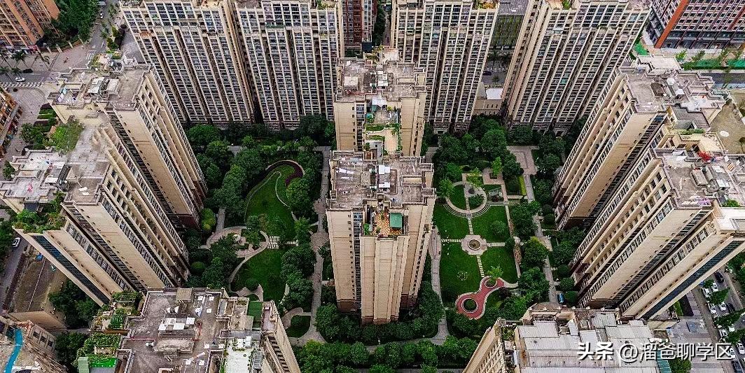 草堂子美,草堂子美怎么样