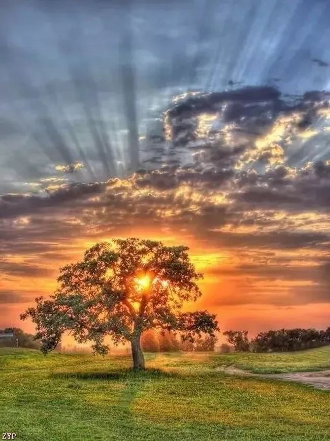 太美了100个世界级美景,全球100张绝世美景