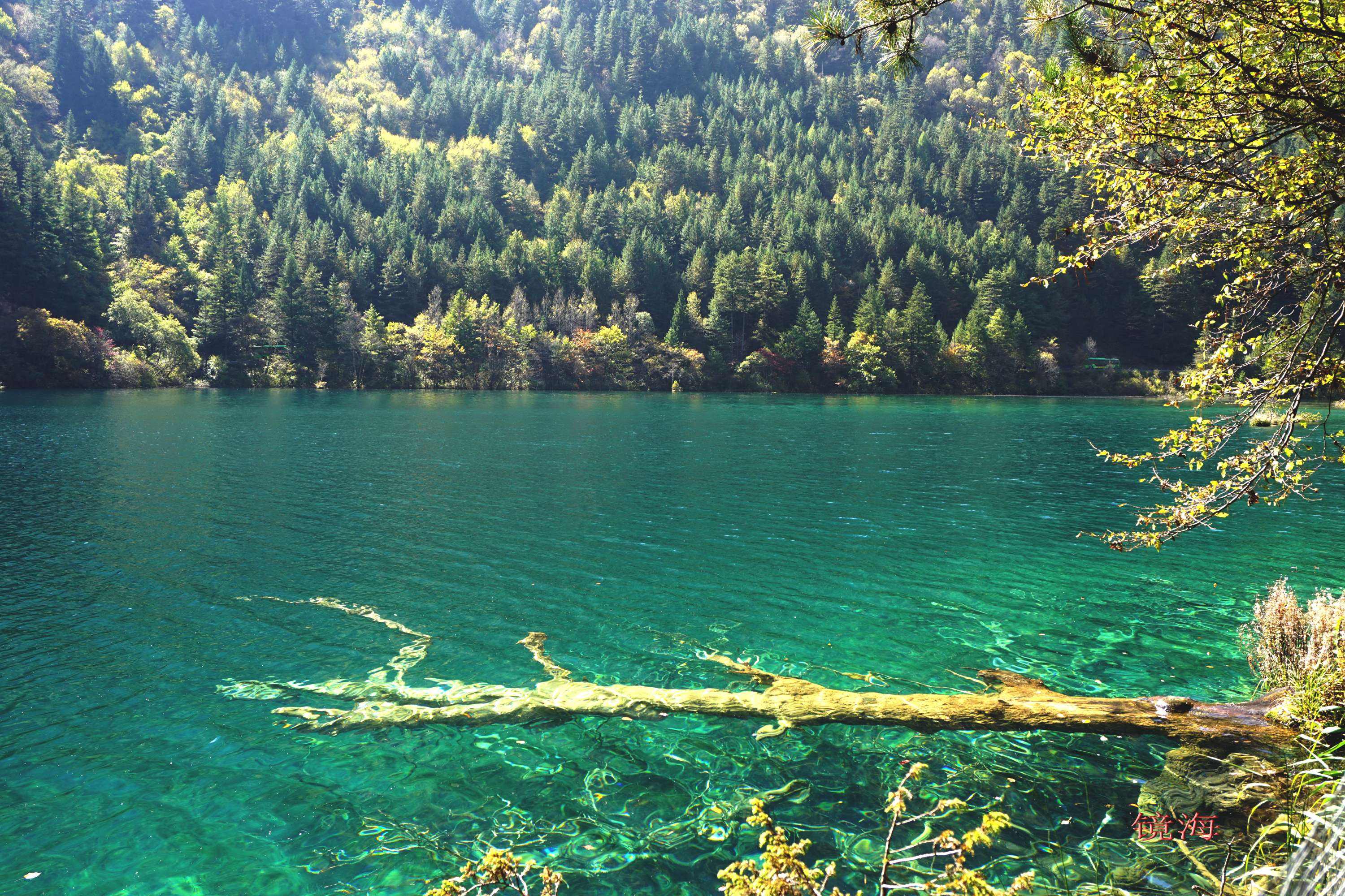 九寨沟美得让人心动完整版,九寨沟有多惊艳