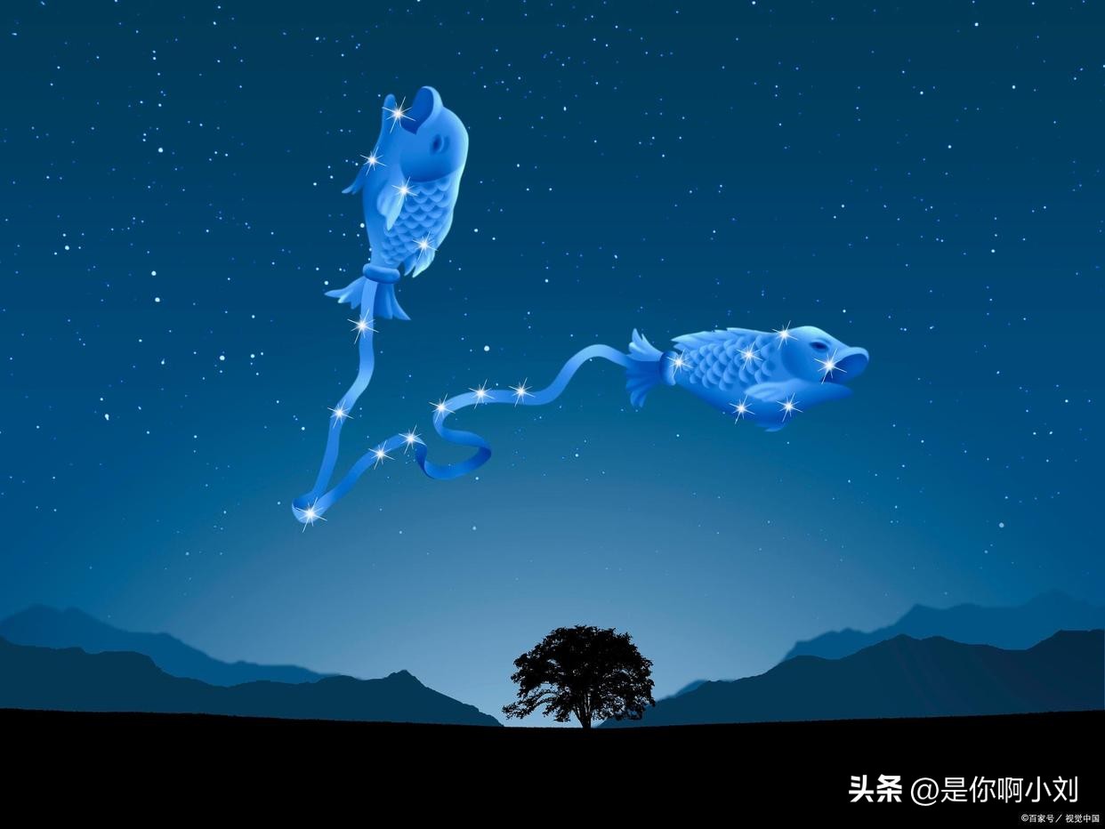 十二星座与双鱼座文案配对,十二星座手链编法双鱼座