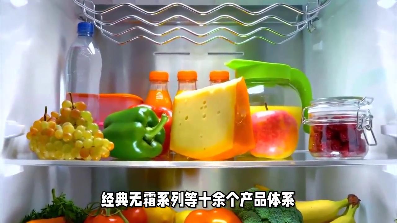 奥马高端超薄大容量冰箱,奥马冰箱和海尔冰箱哪个好