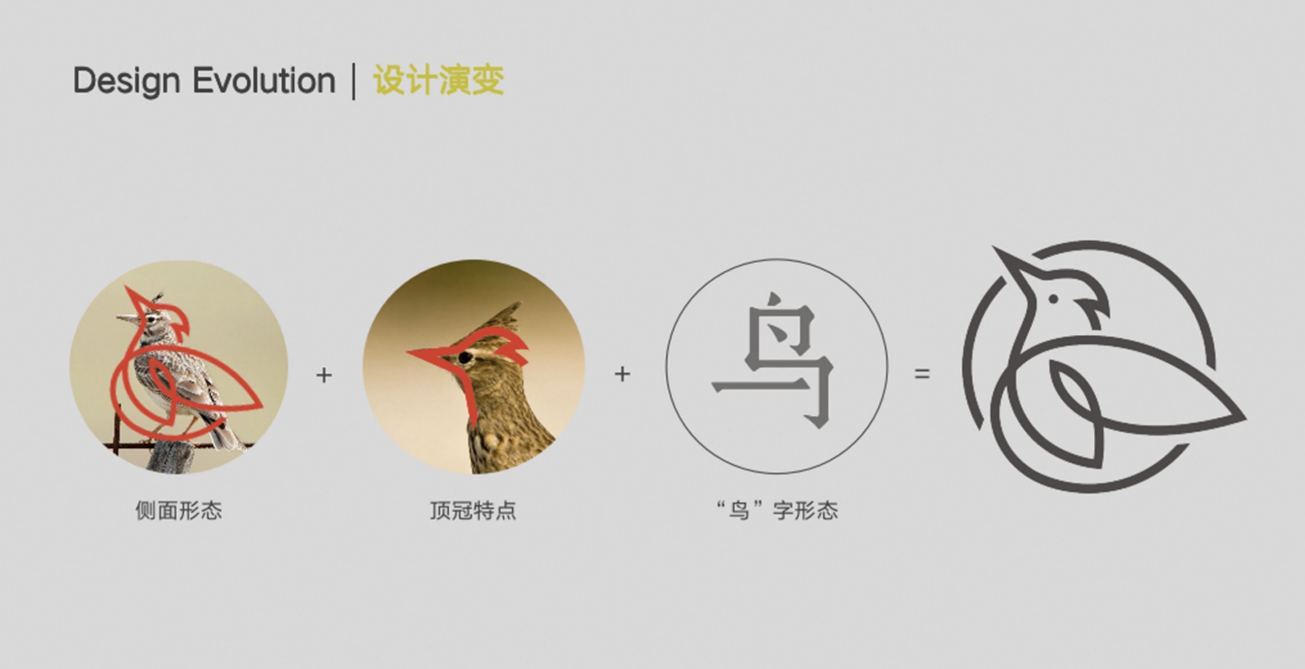 拖把品牌包装设计,如何做一个家居用品品牌