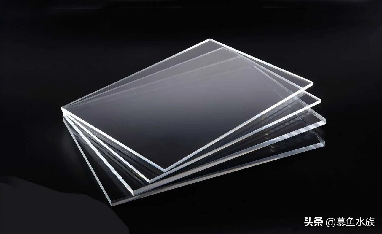 新手养鱼如何选鱼缸,新手养鱼怎样选择小鱼缸