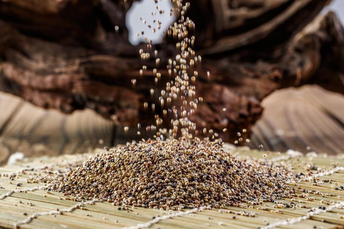 粗粮跟杂粮有啥区别,杂粮粗粮有什么区别