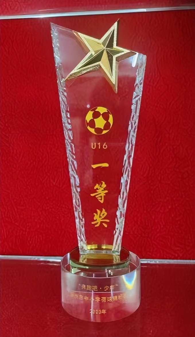 喜报我校喜获多项市级荣誉,喜报学校获殊荣