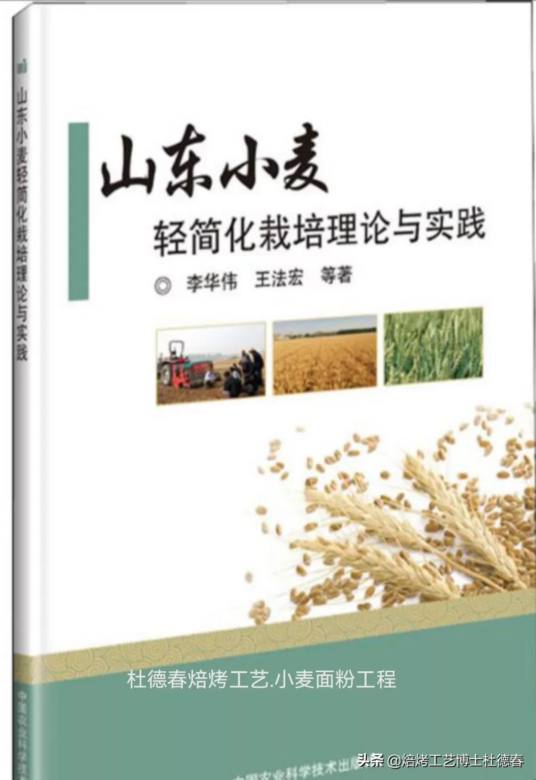 做面包饺子用什么面粉,做水饺馒头用什么面粉最好