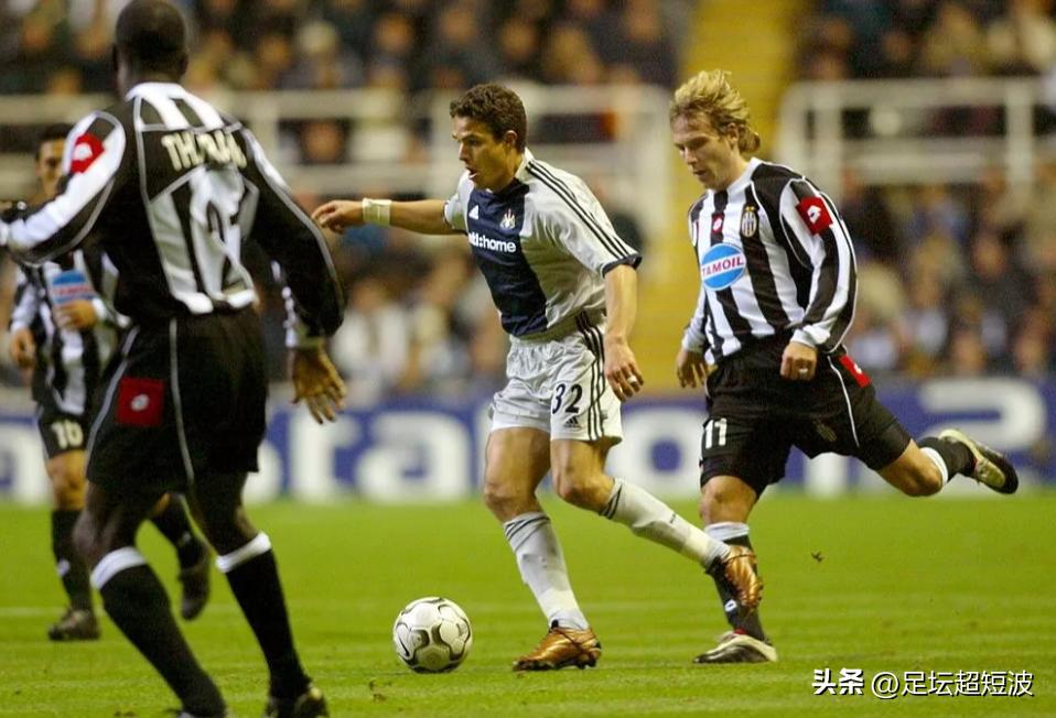 喜鹊死亡的视频,喜鹊之死完整视频