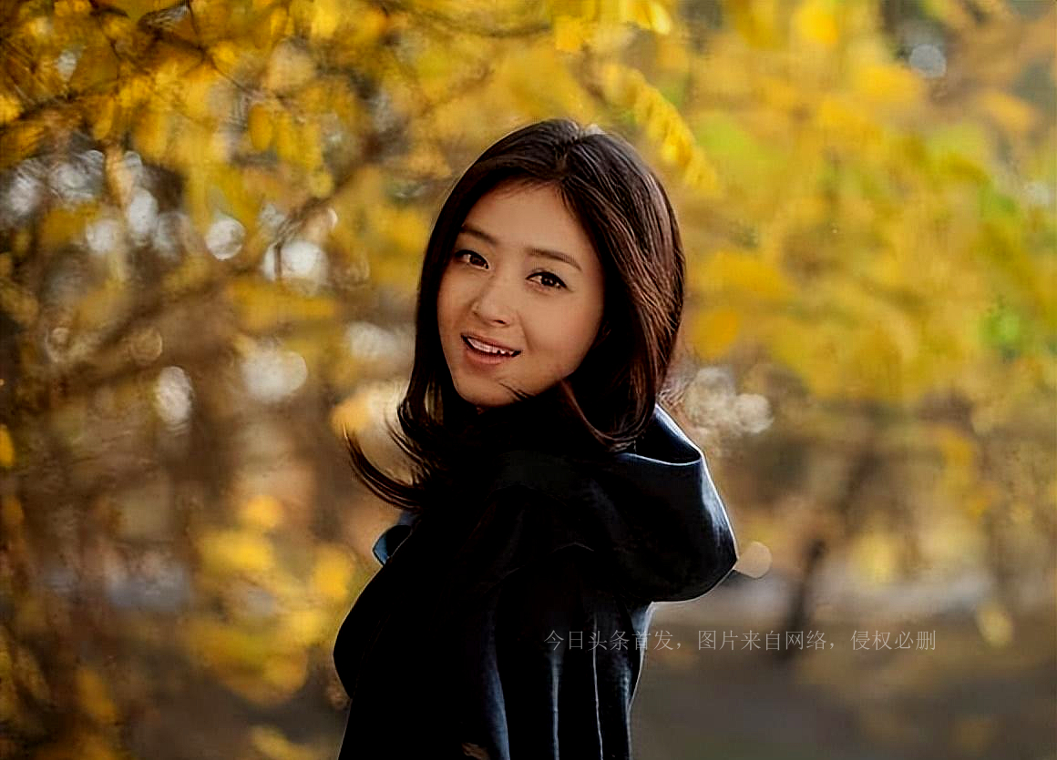 回族十大女明星盘点,中国最美的八位回族女明星