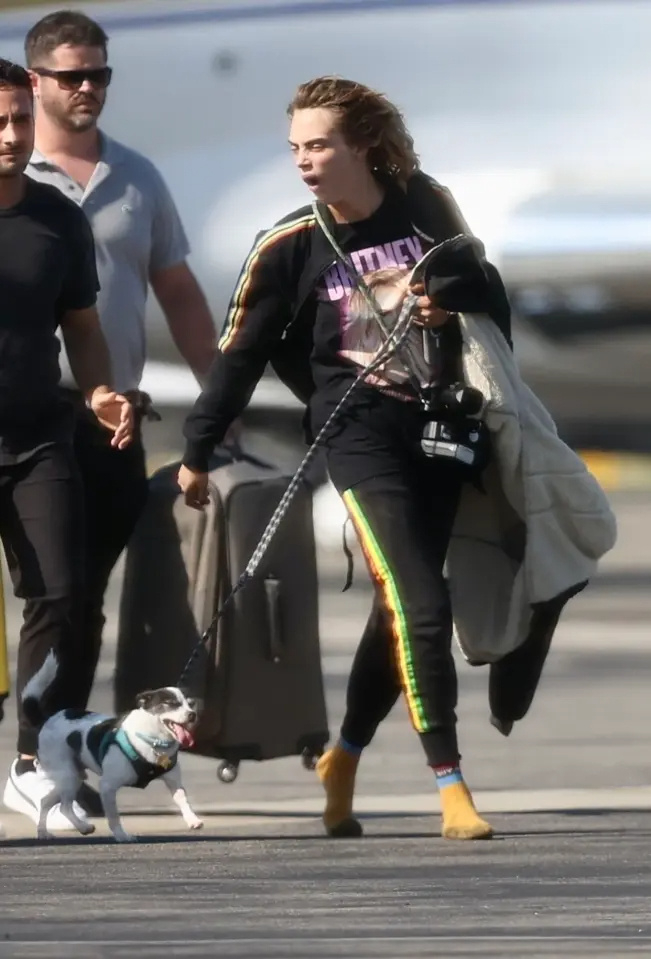 美国女星走秀衣着暴露引成争议,好莱坞女明星街头