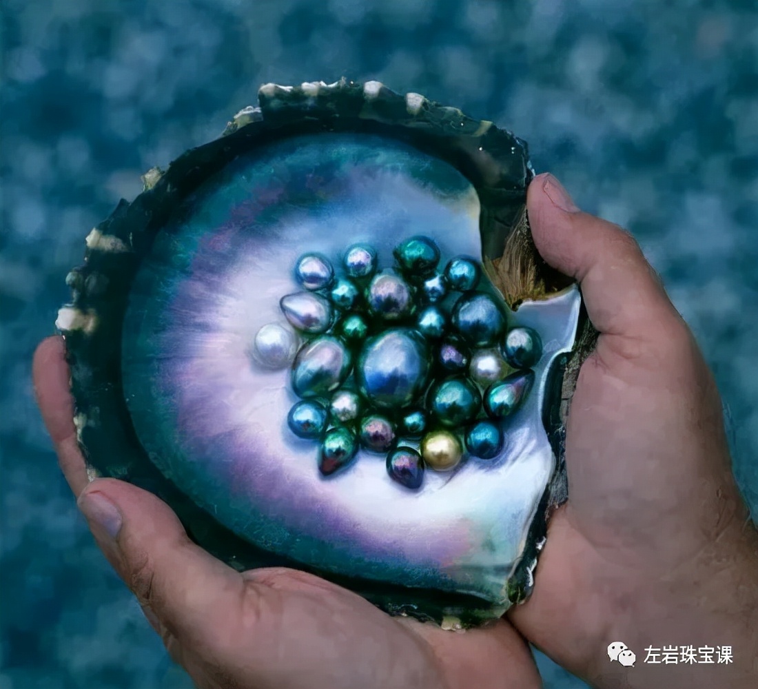 大溪地极强光珍珠鉴赏,优化过的大溪地黑珍珠