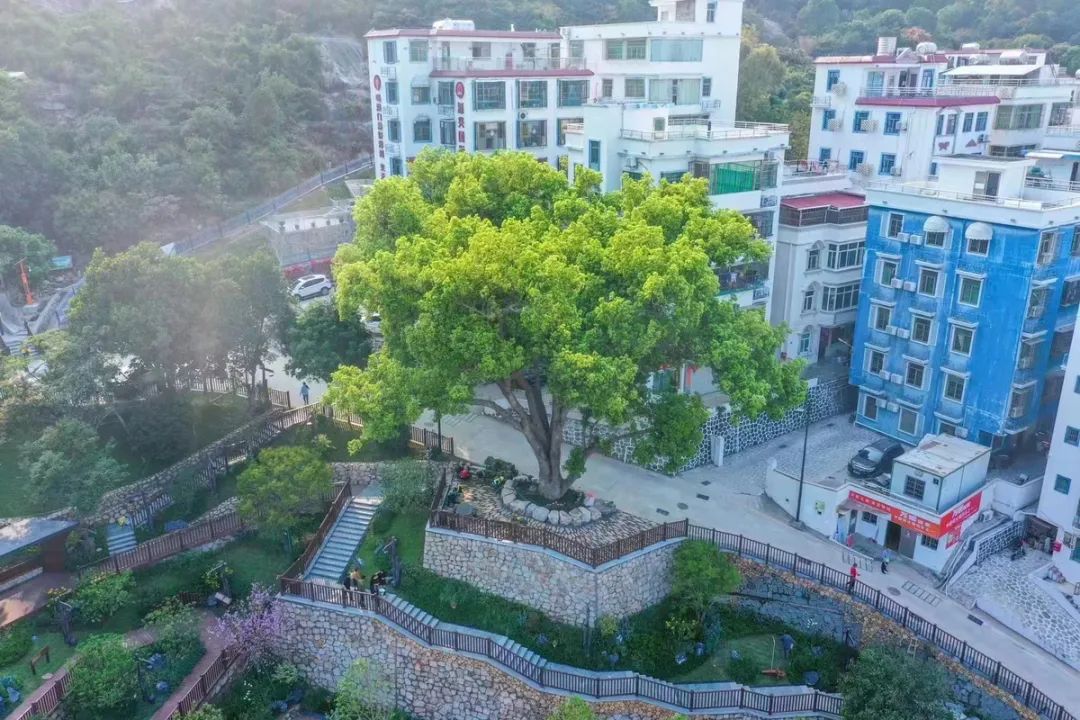 珠海斗门免费公园,斗门公园有哪些