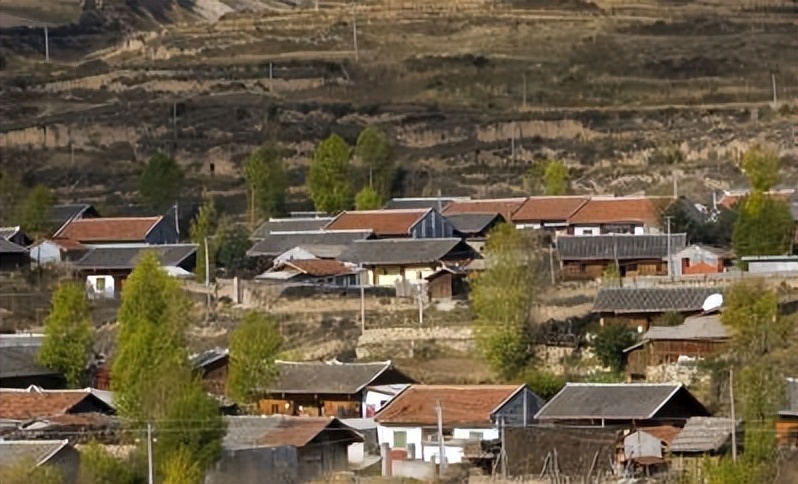 宸濊埅瑙佽瘉濂囪抗,宸濊涔嬫梾