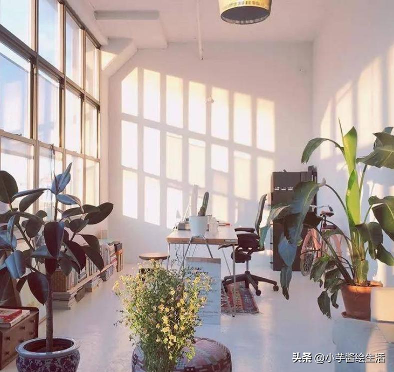 100平方小阳光房,慵懒风阳光房