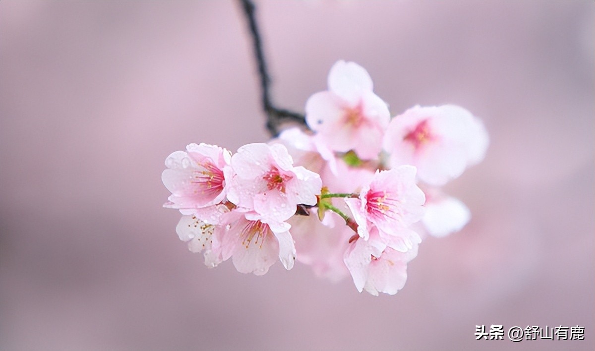 人在遭报应之前会有的表现,人会遭报应的前兆