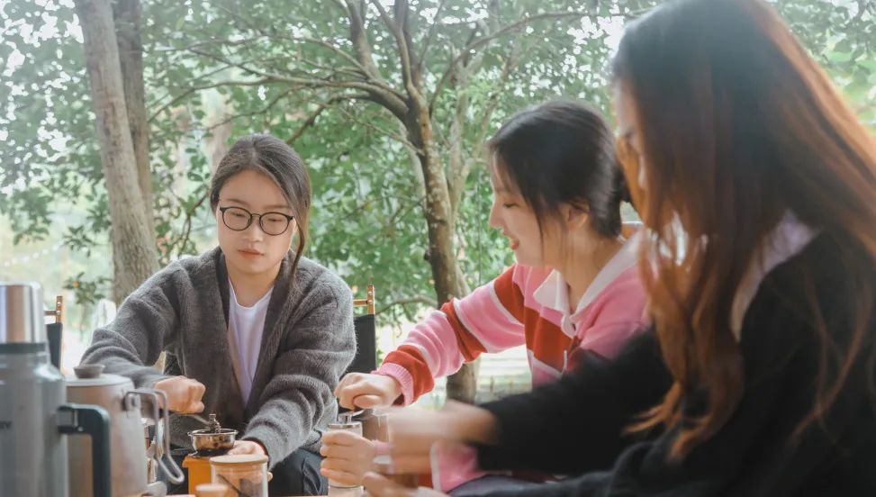 萌宠万圣狂欢夜,萌宠露营云龙区
