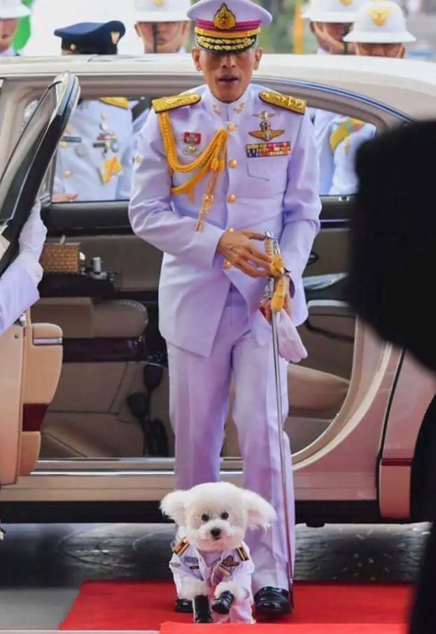 泰王玛哈夫妇最新消息,泰王玛哈奇葩作风